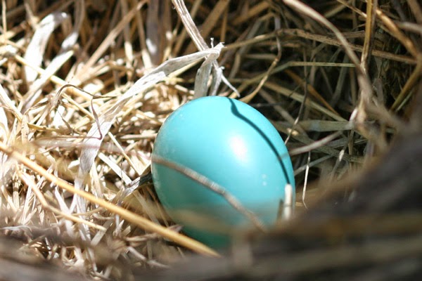 Autism Awareness Month