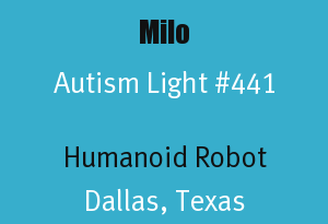 humanoid social robot