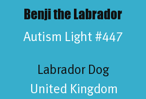 Benji the Labrador