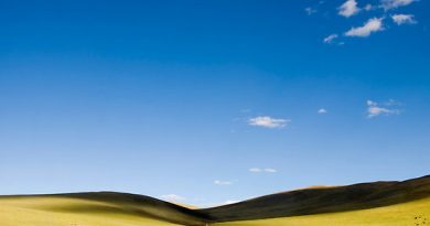 children showing the way