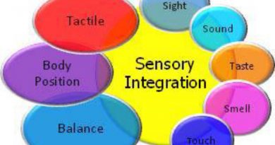 sensory integration