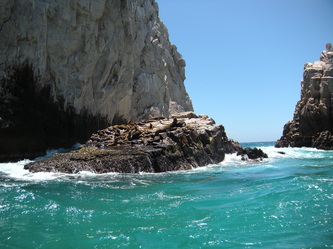 Visiting Cabo San Lucas' El Arco With Autistic Kids sea lions
