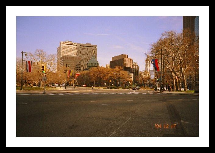 Exploring Philadelphia with Kids tree