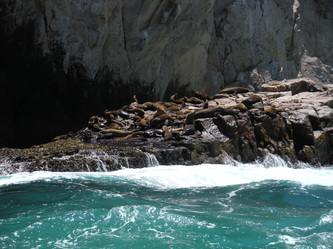 Visiting Cabo San Lucas' El Arco With Autistic Kids sea lions close