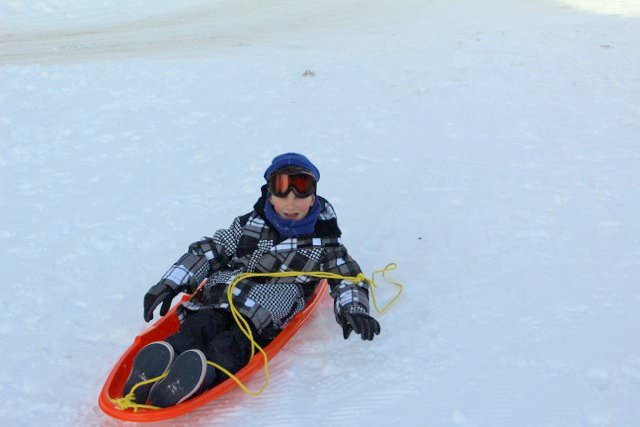  Q&A with Donna Ciccia Autism Parent & Homeopathic Nutritionist sled