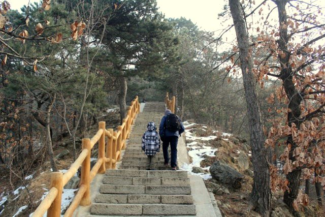  Q&A with Donna Ciccia Autism Parent & Homeopathic Nutritionist stairs