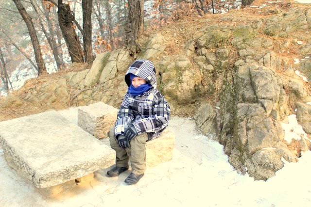  Q&A with Donna Ciccia Autism Parent & Homeopathic Nutritionist forest