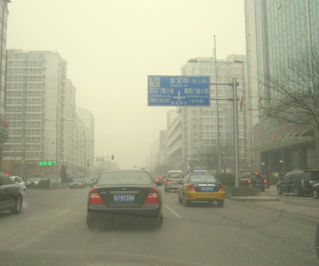  Q&A with Donna Ciccia Autism Parent & Homeopathic Nutritionist beijing