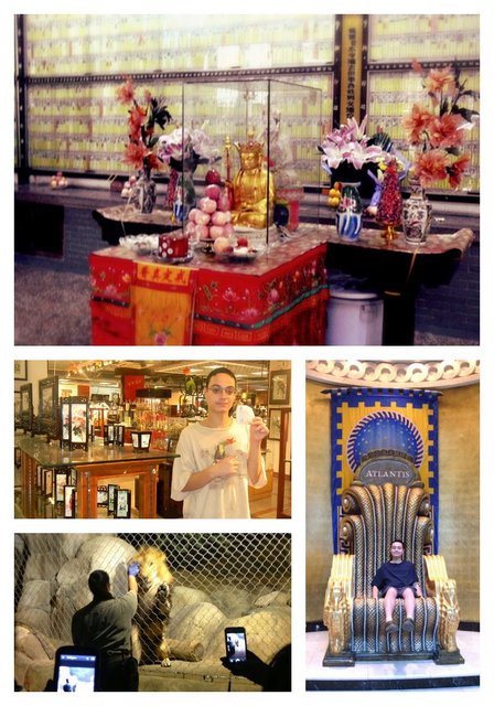 Traveling Successfully with Autism atlantis chair