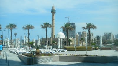 The Family Friendly David Intercontinental Tel Aviv palms