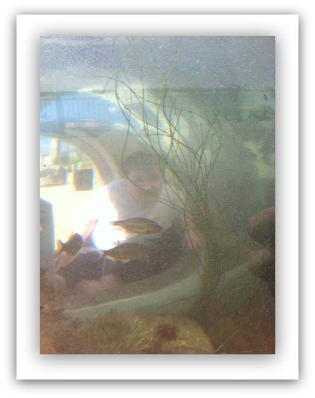 Q&A with Jennifer Perry Autism Artist