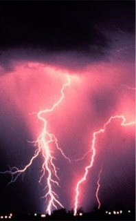 diagnosed with autism