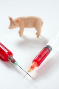 Swine Flu Vaccine